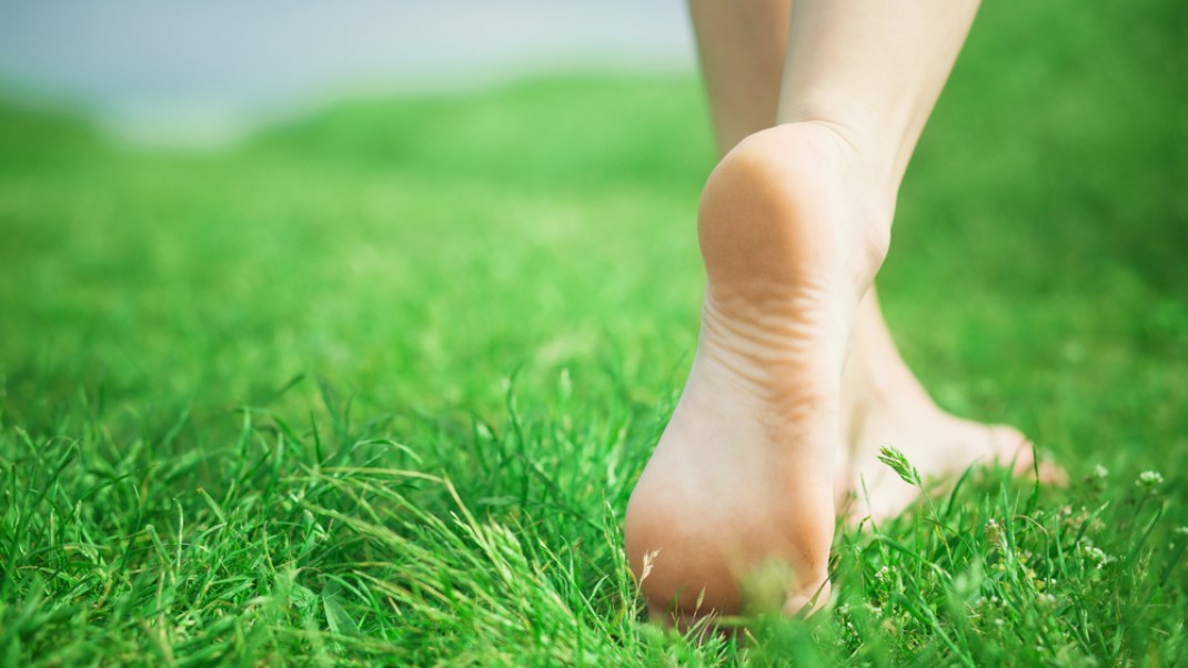 article migration image 2009 the benefits of going barefoot