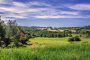 Canva Rural Landscape View scaled 1