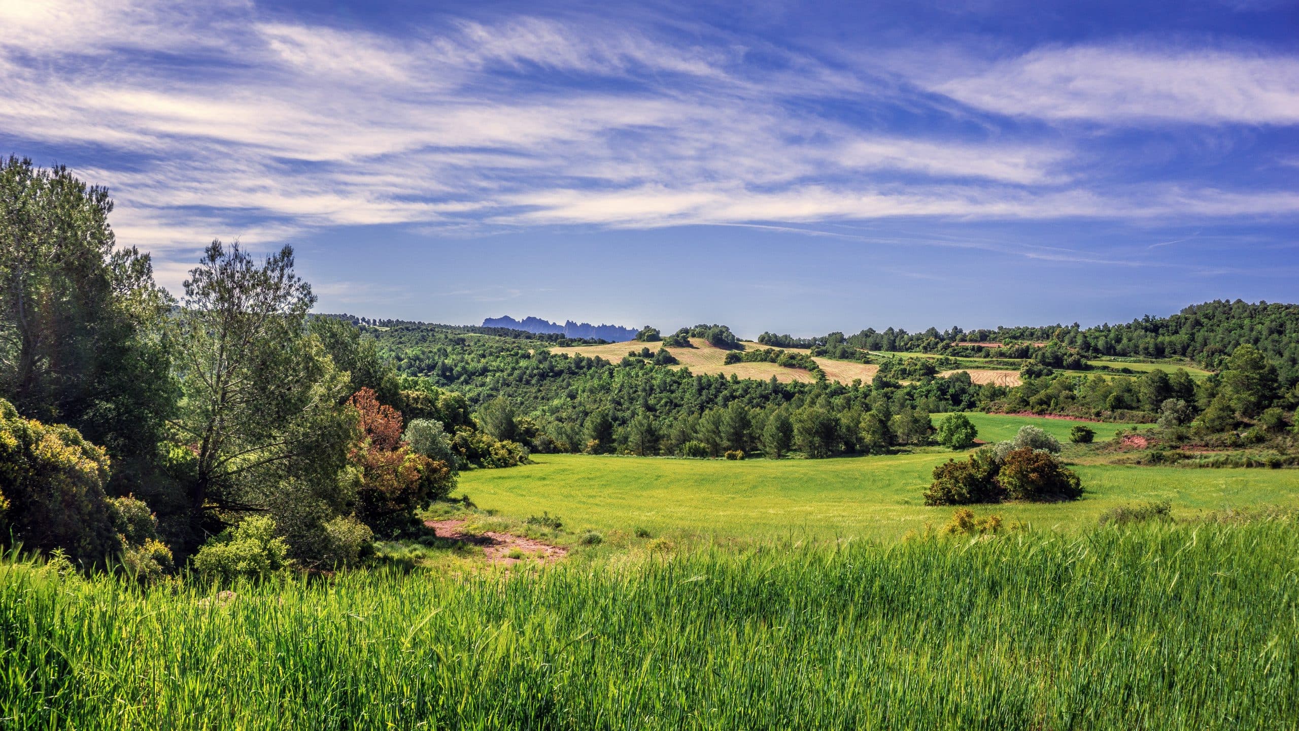 Canva Rural Landscape View scaled 1