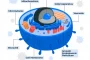 What is microcirculation?